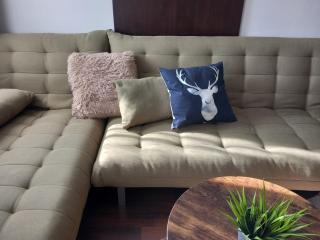 Top Top location Green apartment - Bansko - 3