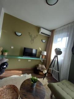 Top Top location Green apartment - Bansko - 5