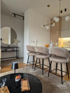 Knezev Park Apartment - 1