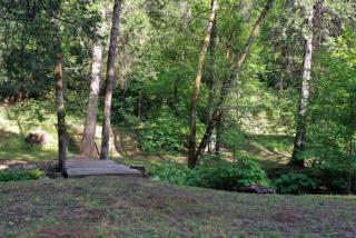 Charming cabin with private creek - Placerville - 4