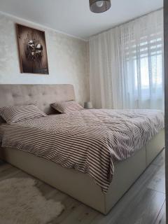 Andi Apartment Suceava - Ipoteşti - 2