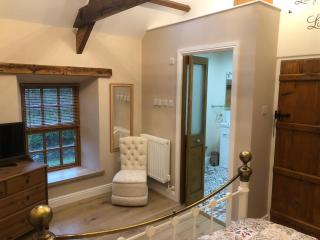 Oakley Bed & Breakfast - Vegetarian, Vegan - Newcastle Emlyn - 4