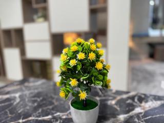 Modern Spaces 2 - Tashkent - 3