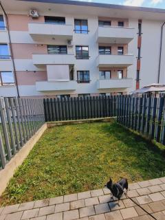 Queency Apartament cu gradina și parcare gratuita - Cluj-Napoca - 7