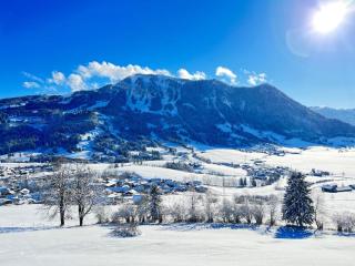 Das Vogelnest - Rettenberg - 5