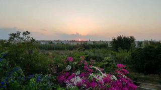 Little Paradise - Sotira - 0