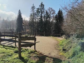 Nova, Saint Vitte sur Briance - - 4