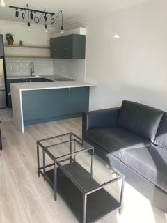 Luxury By The Coast- sleeps 4 - Galway - 6