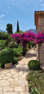Finca Can B'ob - Sóller - 5