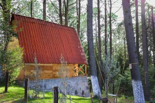 HospedajeRancholajoya-Cabaña Olivos - 9