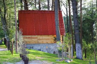 HospedajeRancholajoya-Cabaña Olivos - 8