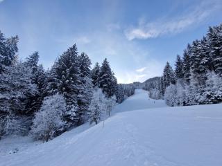 Steirermaxx Apartments - 5