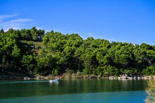 Apartment Bazdaric - Novigrad (Cittanova) - 6