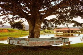 Casa de temporada - Tatuhouse - 5