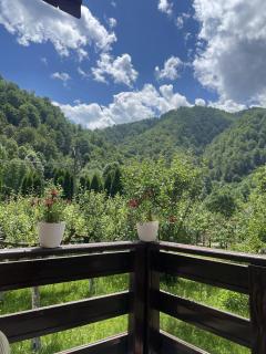 Pensiunea Cristalis - 2