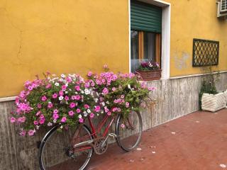 Il Lanificio airb&b - - 5