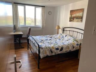 Kingston Upon Thames Stay - Kingston upon Thames - 7