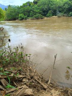 Casa Sitio da Felicidade - 1