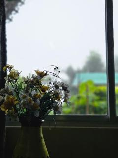 Kurseong's Kothee Homestay - Darjeeling - 8