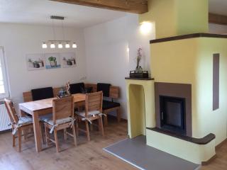 Appartements und Ferienhaus Gasthof Kanzlersgrund - Oberhof - 5