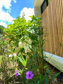 Sinfonía Tropical, ocean view, 5 minutes driving to Playa Linda, 15 to Dominical, wifi Starlink - 5