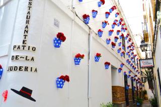 Sunshine los Angeles - 9