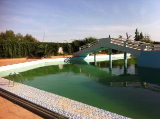 Hôtel résidence pomaria - Tlemcen - 4