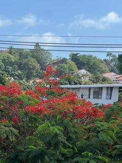 Pousada do Leo - Olinda - 8