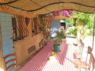 Domaine La Cigogne, Provencal house with pool & big garden - Vence - 0