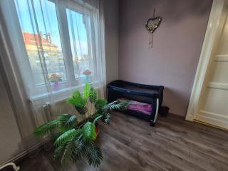 Natural Blue Apartment - Budapest - 4