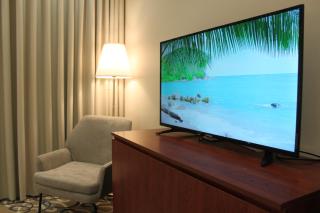 غرفة فندقية - Riyad - 2