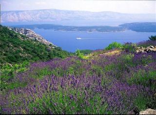 Captains Heritage - Traditional Apartment in Stari Grad - Stari Grad - 3