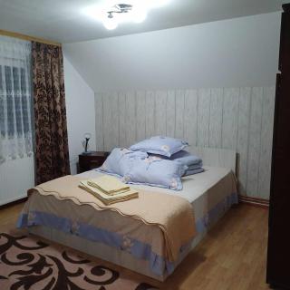Casa Mihaela - Câmpulung Moldovenesc - 7