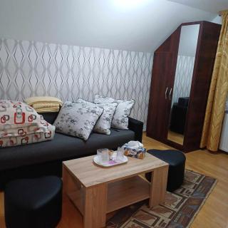 Casa Mihaela - Câmpulung Moldovenesc - 8