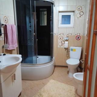 Casa Mihaela - Câmpulung Moldovenesc - 9