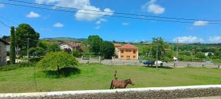 Apartamentos Buganvilla - Santillana del Mar - 8