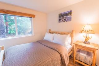 Trout Corner wooded tiny home - 3