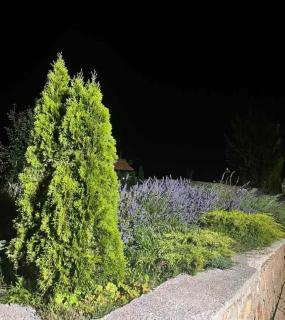 Kuća sa bazenom Barice - Lavanda Estate - Sarajevo - 4