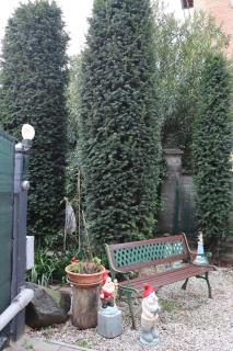 Giovanna's House - Montale - 2
