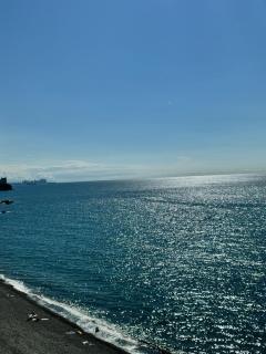 Bamboo Beach Tsikhisdziri! Enjoy your stay! - 7