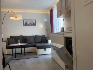 Květinové apartmány Horní Planá - Horní Planá - 8