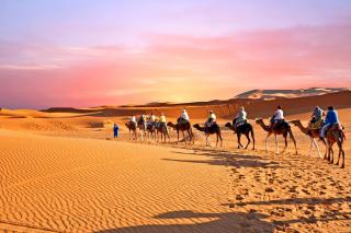 Desert Camel Trek - 1