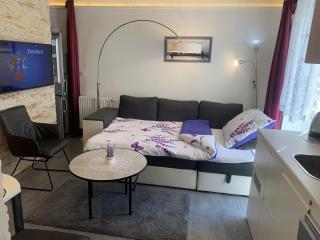 Květinové apartmány Horní Planá - Horní Planá - 1