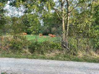 Gîte Saint Joseph 5 minutes à Lac d 'Eguzon - 3