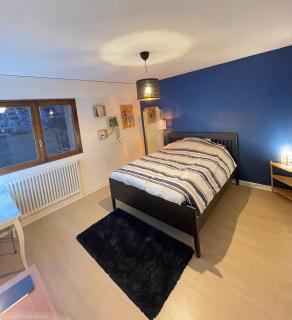 Appartement Très Cosy à 5 min Aéroport Genève - Ferney-Voltaire - 9