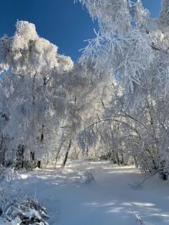 Domki z Widokiem Klikuszowa jacuzzi - 3