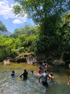 Rainforest Mount Villa - Nelluwa - 2