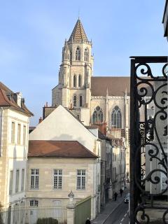 Sous le chêne bleu - Appartement Cosy au cœur de Dijon - Dijon - 6