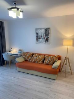 Muresului Home - Cluj-Napoca - 7