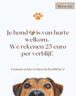 Bed & Kip De plek voor mens en hond - - 9